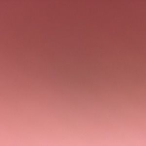 Meet your Posher, Sophi